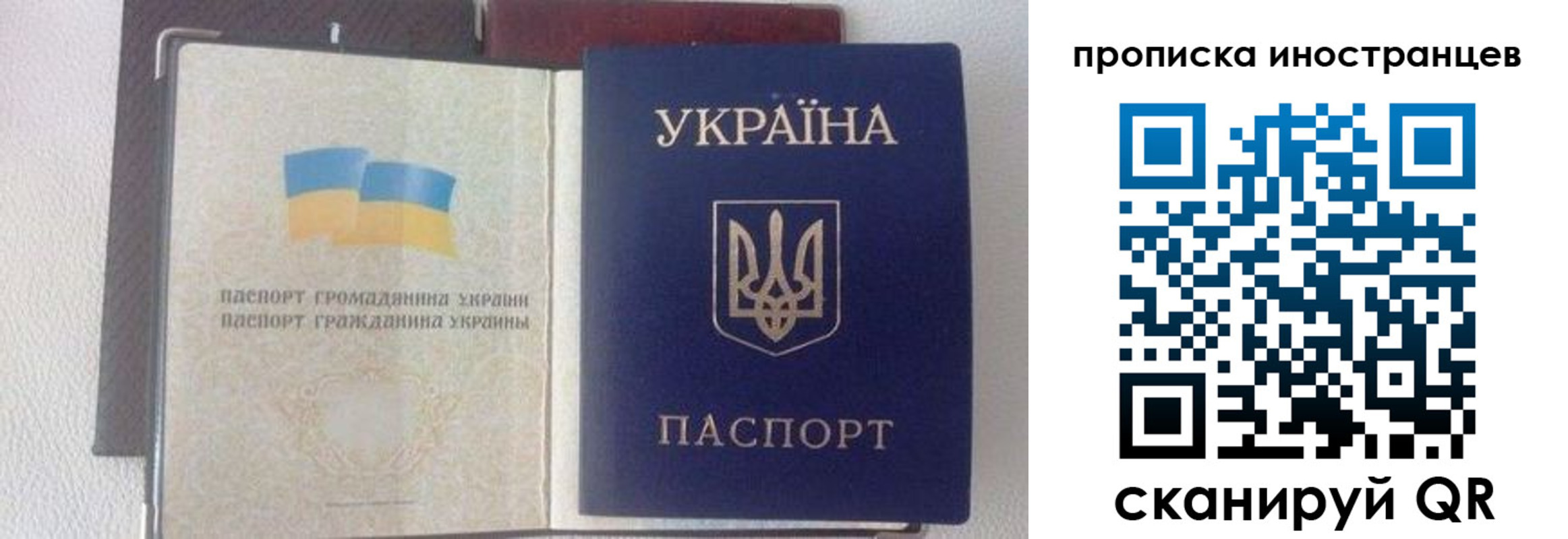 регистрация в Осе